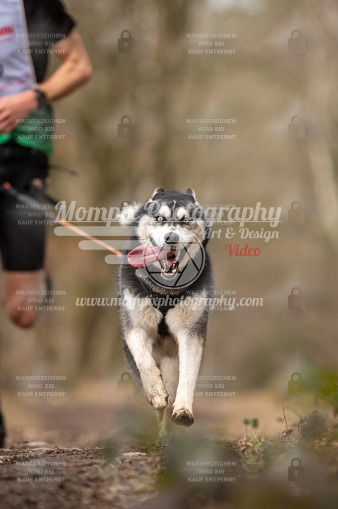 SPA_2023_SAM_CCL-33 | PayLife