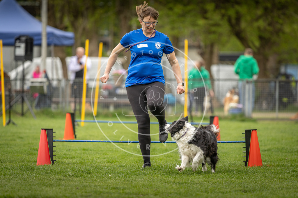 Pfotenfotografie_DV3A2670 | Hundefotografie, Tierfotograf, Pfotenfotografie, Fotoshooting Hund, Hunde Portrait, Hundesport, Hundeportraits, Heideshooting, Hunde, Sportfotograf, Hundefotograf, Turnierhundsport, THS,  - Realisiert mit Pictrs.com