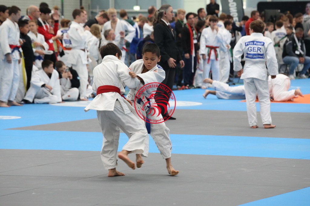 1J7A2935 | Fotos vom Adler Cup - Pictures from Adler Cup

Hier findet Ihr alle Eindrücke und großen Momente der Adler Cup Wochenenden. Here you will find all impressions and great moments of the Adler Cup weekends. - Realisiert mit Pictrs.com