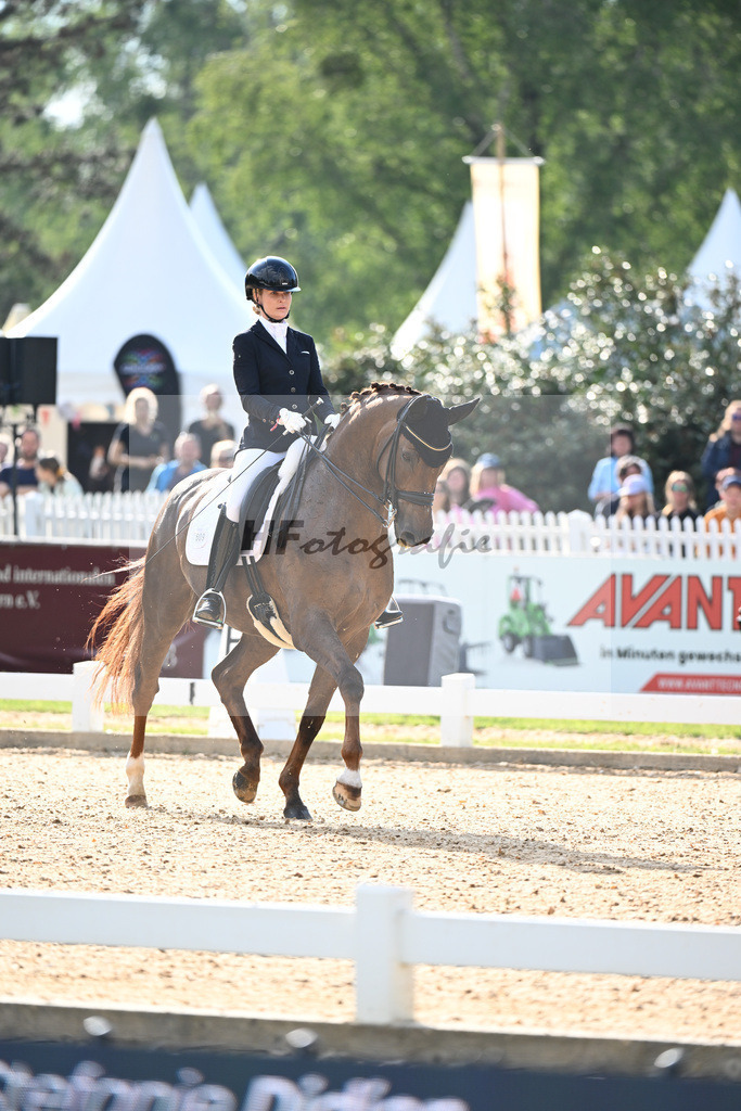 Didion_Fox Village_12241455 | hf-fotografie - Realisiert mit Pictrs.com