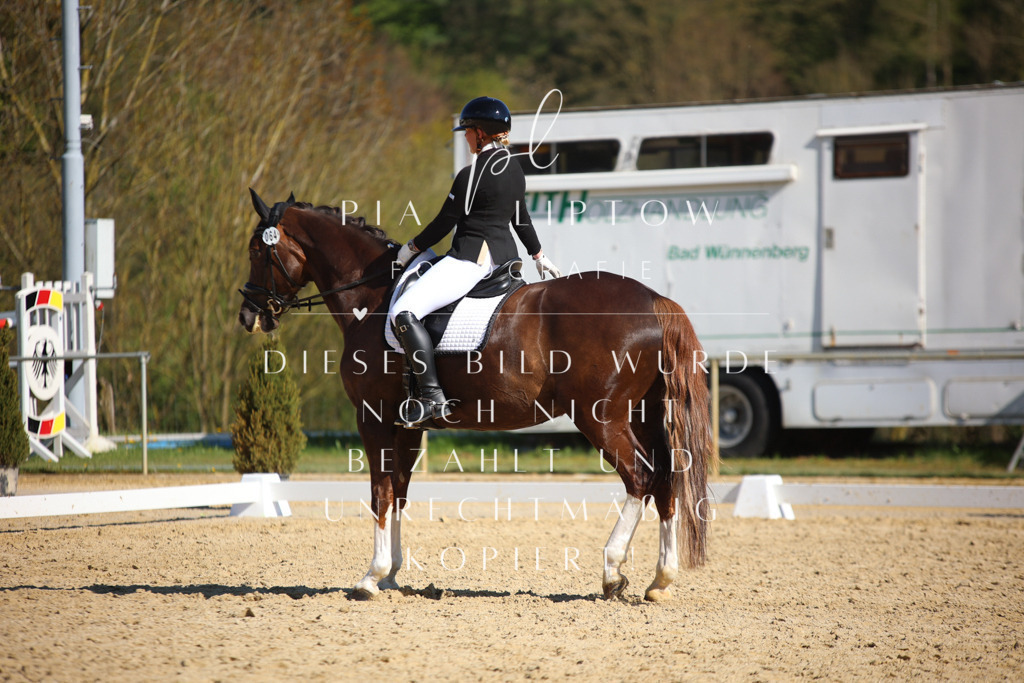 IMGT8880 | pl-fotografie