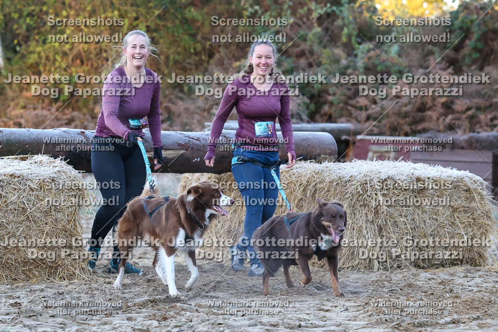 Dog Paparazzi - Strongdog 10-25-234 | Dog Paparazzi Jeanette Grottendiek Fotografie & Videografie - Realisiert mit Pictrs.com