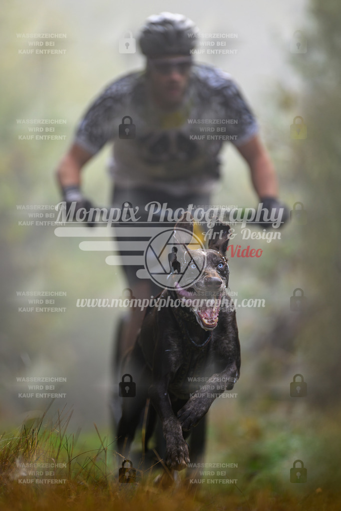 MompixPhotography_20TSB_E4_DS1-5-Print_2_extra_edited | PayLife