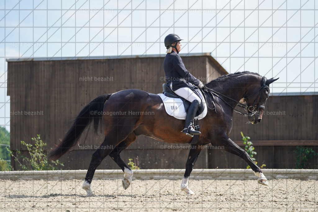 20230826-FAH06050 | Forstinning, 2023, Dressurturnier, Turniersportbilder, Turnierfotografen Bayern, Fotoagentur Herrmann, Reitsportfotografie, Turnierbilder