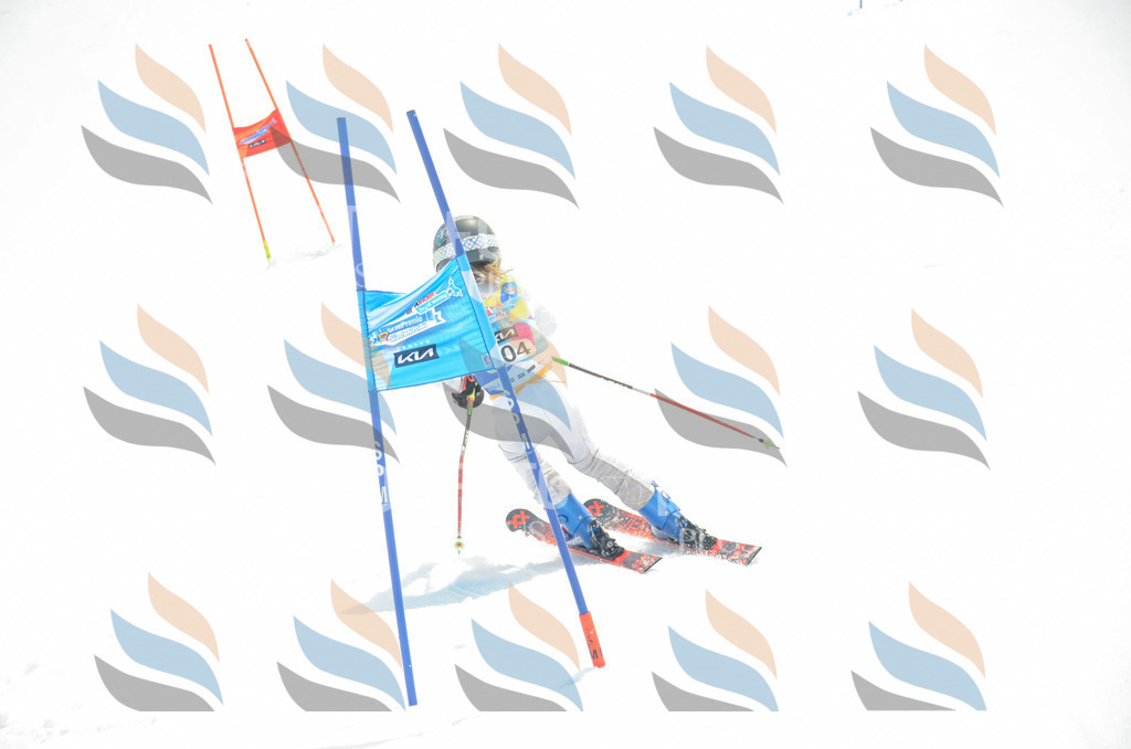 _ELE8305 | holidayphoto