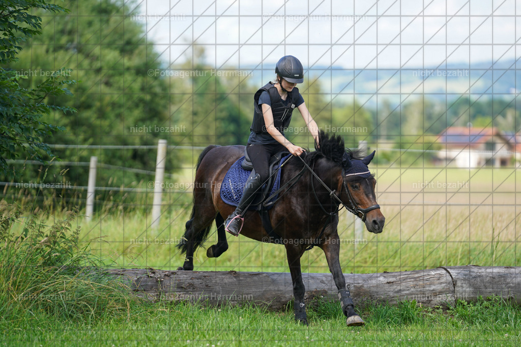 20240622-FAH07919 | Turnierfotografen Bayern, Reitsportbilder aus dem Geländekurs mit Felix Etzel auf dem Gut Waitzacker 2024