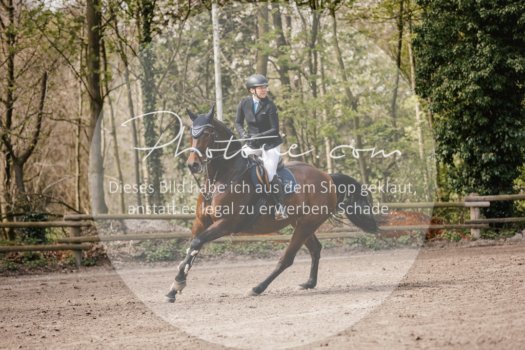3I6A4164 | Stimmungsvolle Portraits und Reitsportfotografie im Ruhrgebiet und im Münsterland.

Pferdefotografie, Hundefotografie, Tierfotografie, Reportagen, Portraits von Tier und Mensch, Turnierfotografie in Bochum, Recklinghausen, Marl, Haltern am See, Dülmen.. - Realisiert mit Pictrs.com