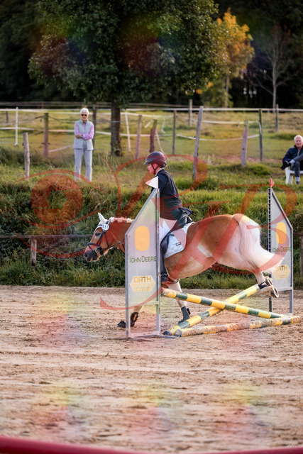 2026_10_03_Siefer-Hof_145500_Z81_35415618 | Professionelle Reitsport-, Turnier- und Eventfotografie von Robert Broda. Galerien mit ausgewählten und bearbeiteten Bildern direkt online ansehen und bestellen.
