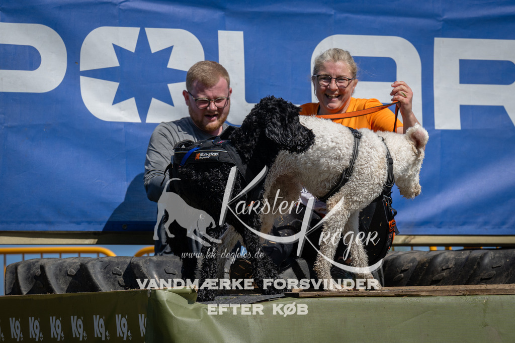 1232_ZZ95640 | kk-dogfotos