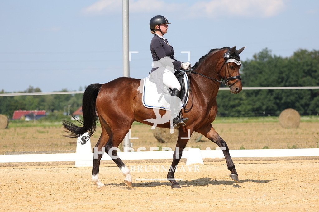0P6A7894 | Willkommen bei Brunnmayr - Design & Fotografie – Ihrem Spezialisten für Reitturniere und Pferdeveranstaltungen in Oberösterreich, Salzburg und Bayern! Seit über 17 Jahren sind wir leidenschaftlich dabei.