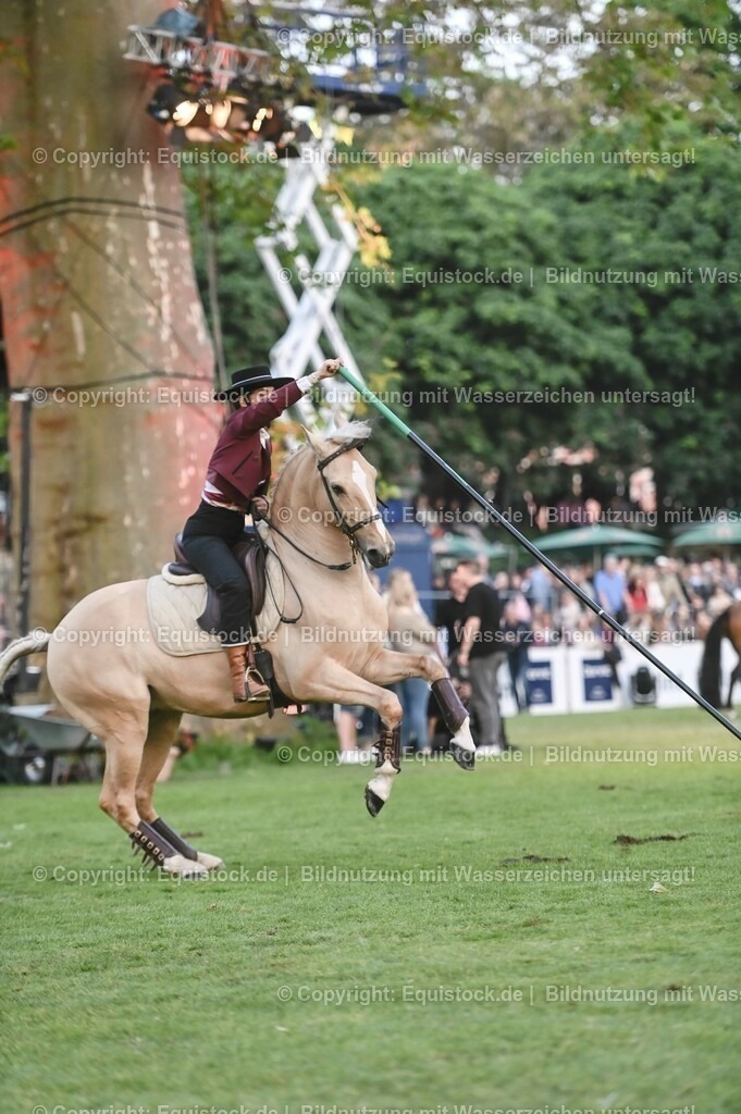 20230526_Pferdenacht_0728 | equistock