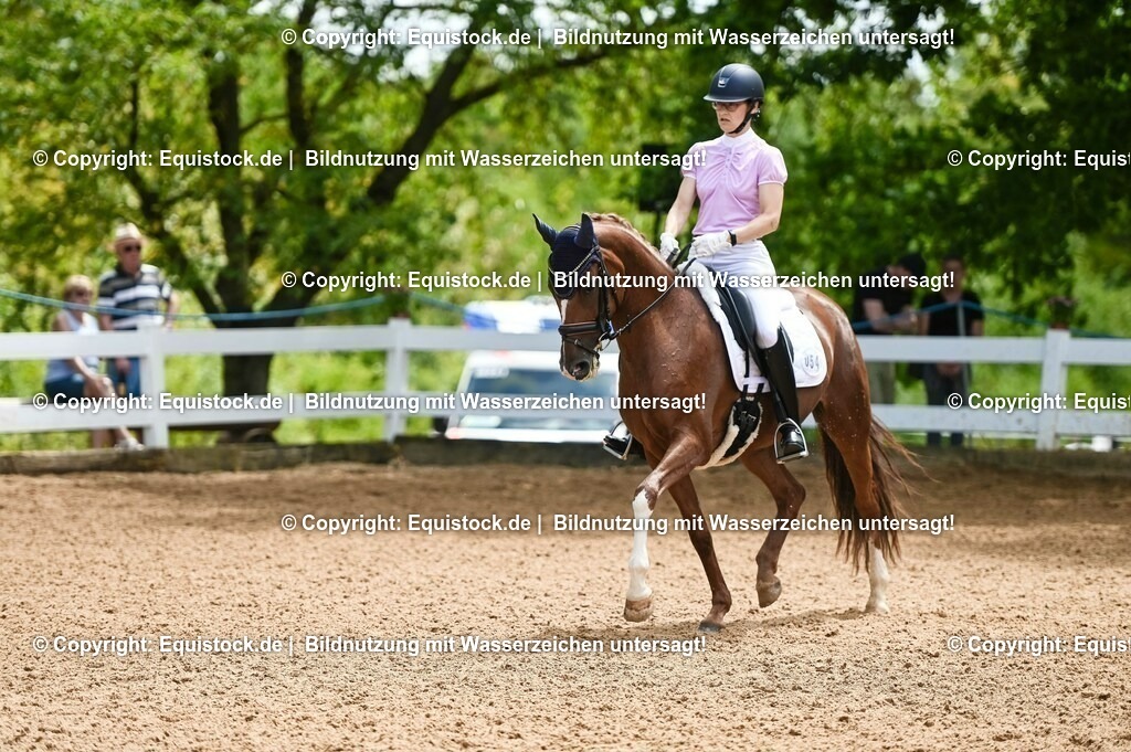 20230716_03_Dressurprfg. Kl.L - Tr._0236 | equistock