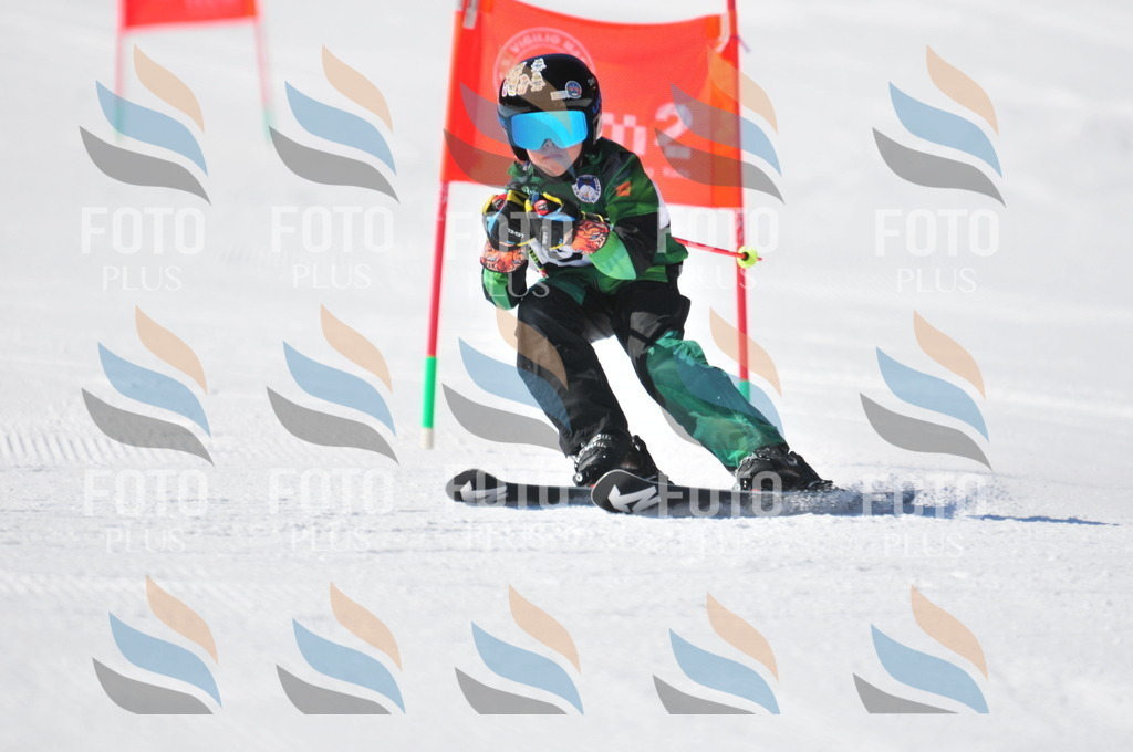 C3136 | holidayphoto