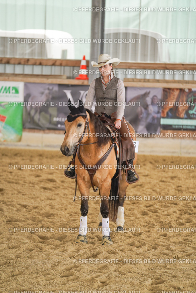 DSC09360 | Pferdegrafie