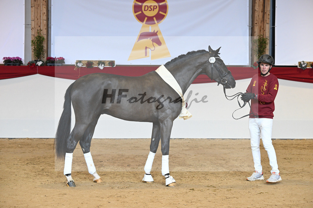 Kat-Nr. 68 Secret_Reich_1232071 | hf-fotografie - Realisiert mit Pictrs.com