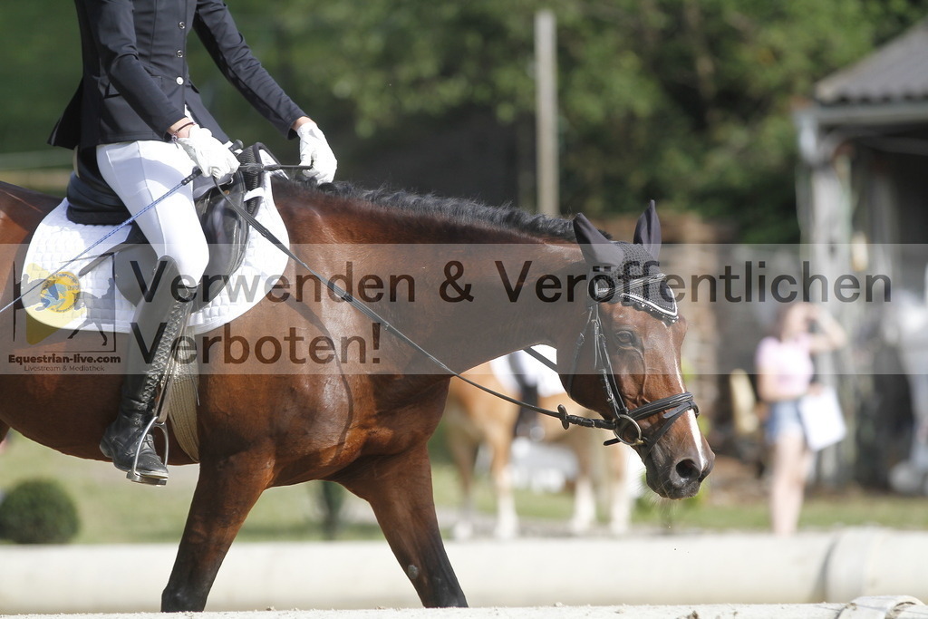 _MG_0113 | equestrian-live-com