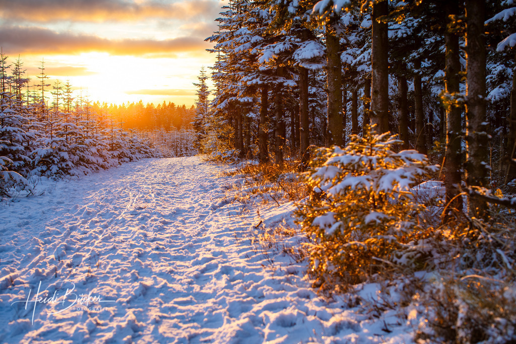 Goldene Stunde auf dem Kahlen Asten | Goldene Stunde auf dem Kahlen Asten - Realisiert mit Pictrs.com