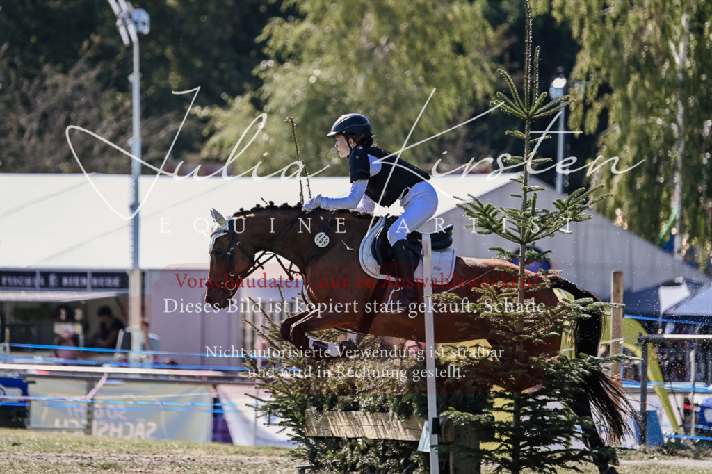 DSC_3483 | Pferde- und Turnierfotografie in Westsachsen. Pferdeportraits, Auftragszeichnungen und intuitive Kunst.