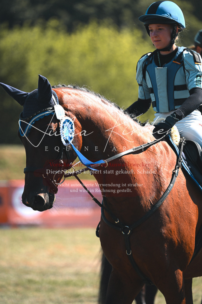 DSC_8410 | Pferde- und Turnierfotografie in Westsachsen. Pferdeportraits, Auftragszeichnungen und intuitive Kunst.