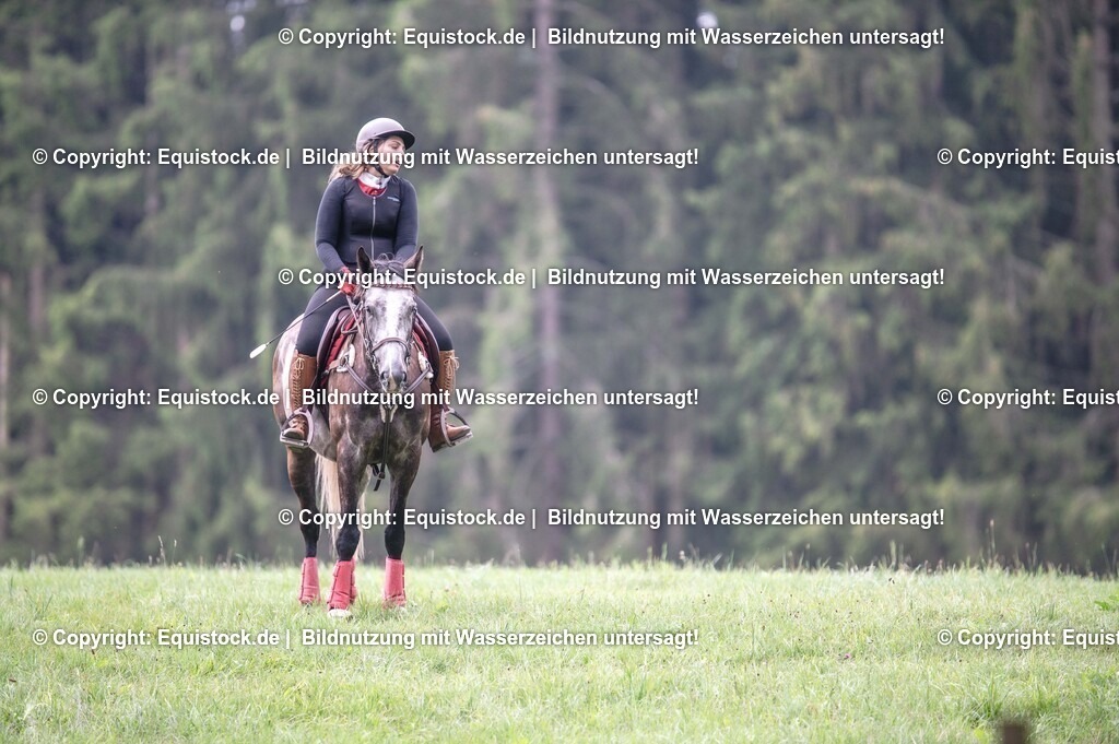 20250726_Vielseitigkeitslehrgang-Marbach_0240 | Foto: Thomas Hartig