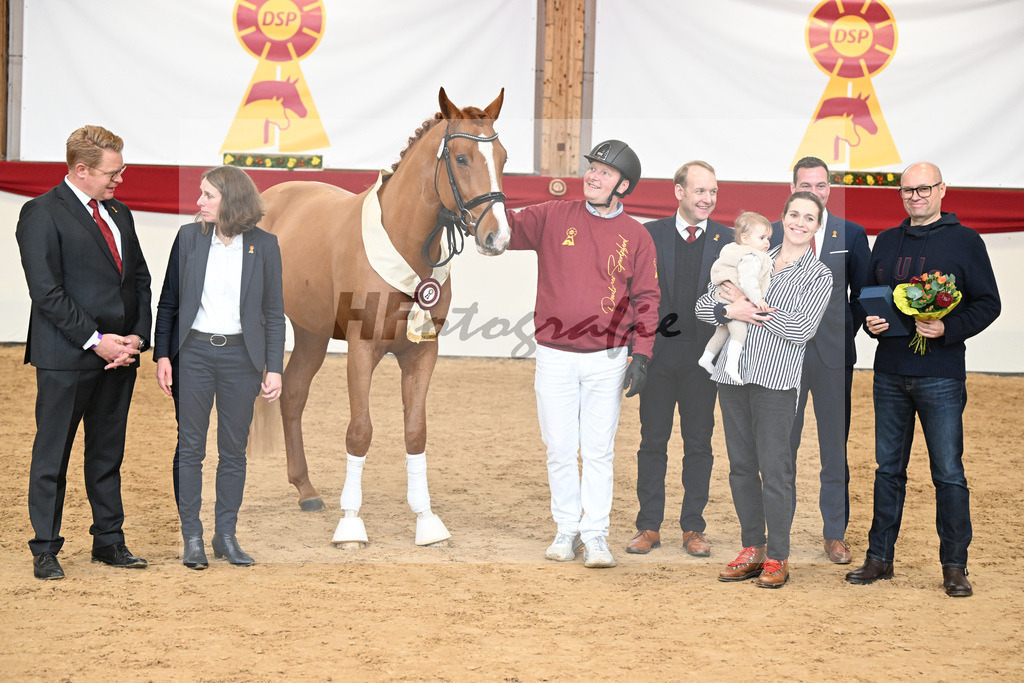 Kat.-Nr. 38 v. Tangelo van de Zuuthoeve_Spenrath_2251767 | hf-fotografie - Realizzato con Pictrs.com