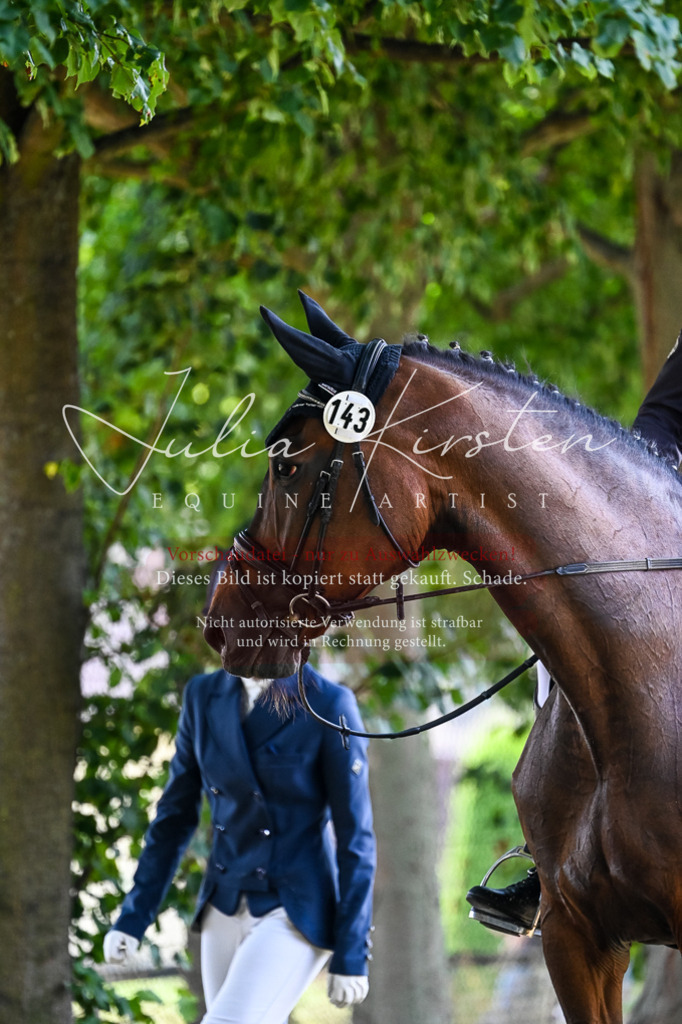 DSC_2750 | Pferde- und Turnierfotografie in Westsachsen. Pferdeportraits, Auftragszeichnungen und intuitive Kunst.