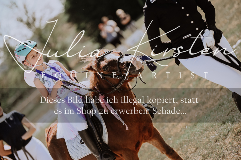 DSC_9082 | Pferde- und Turnierfotografie in Westsachsen. Pferdeportraits, Auftragszeichnungen und intuitive Kunst.