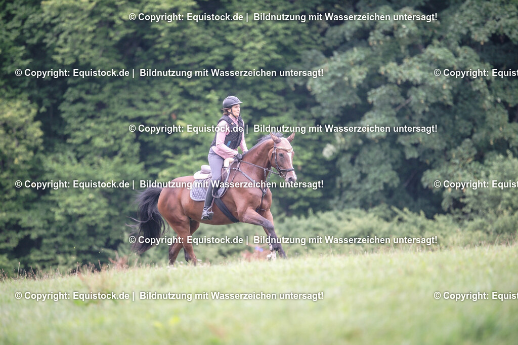 20250726_Vielseitigkeitslehrgang-Marbach_0273 | Foto: Thomas Hartig
