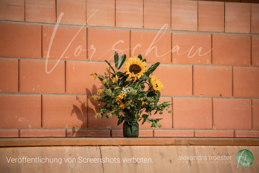 250913_Barop_11_034 | farbklaex.com