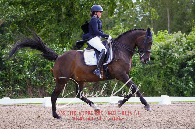 DKP41369 | Deine Turnierfotos vom Reitturnier online kaufen: Dressur, Springen & Siegerehrung. Professionelle Pferdefotografie aus dem Rheinland – als Download & Print.Alternative: Turnierfotograf für den Pferdesport: Finde deine Fotos von Dressur- und Springturnier