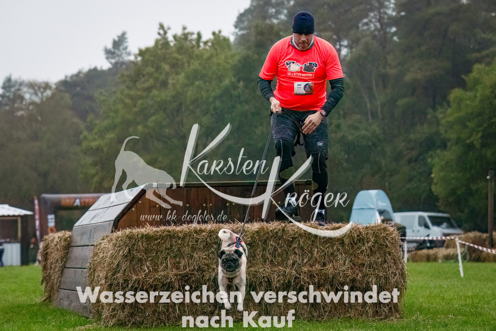 0803-_ZZ90046-Bearbeitet-Bearbeitet | kk-dogfotos