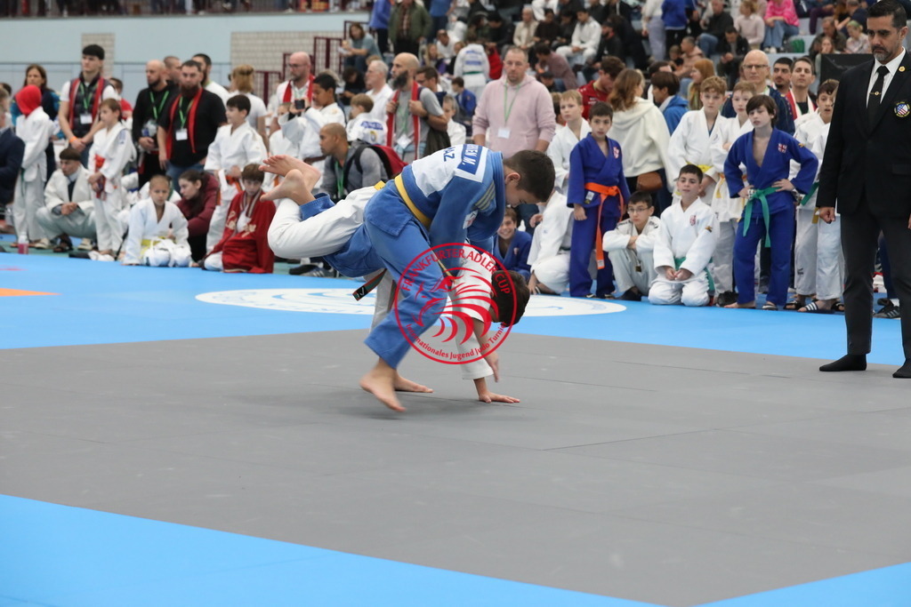 1J7A1885 | Fotos vom Adler Cup - Pictures from Adler Cup

Hier findet Ihr alle Eindrücke und großen Momente der Adler Cup Wochenenden. Here you will find all impressions and great moments of the Adler Cup weekends. - Realisiert mit Pictrs.com