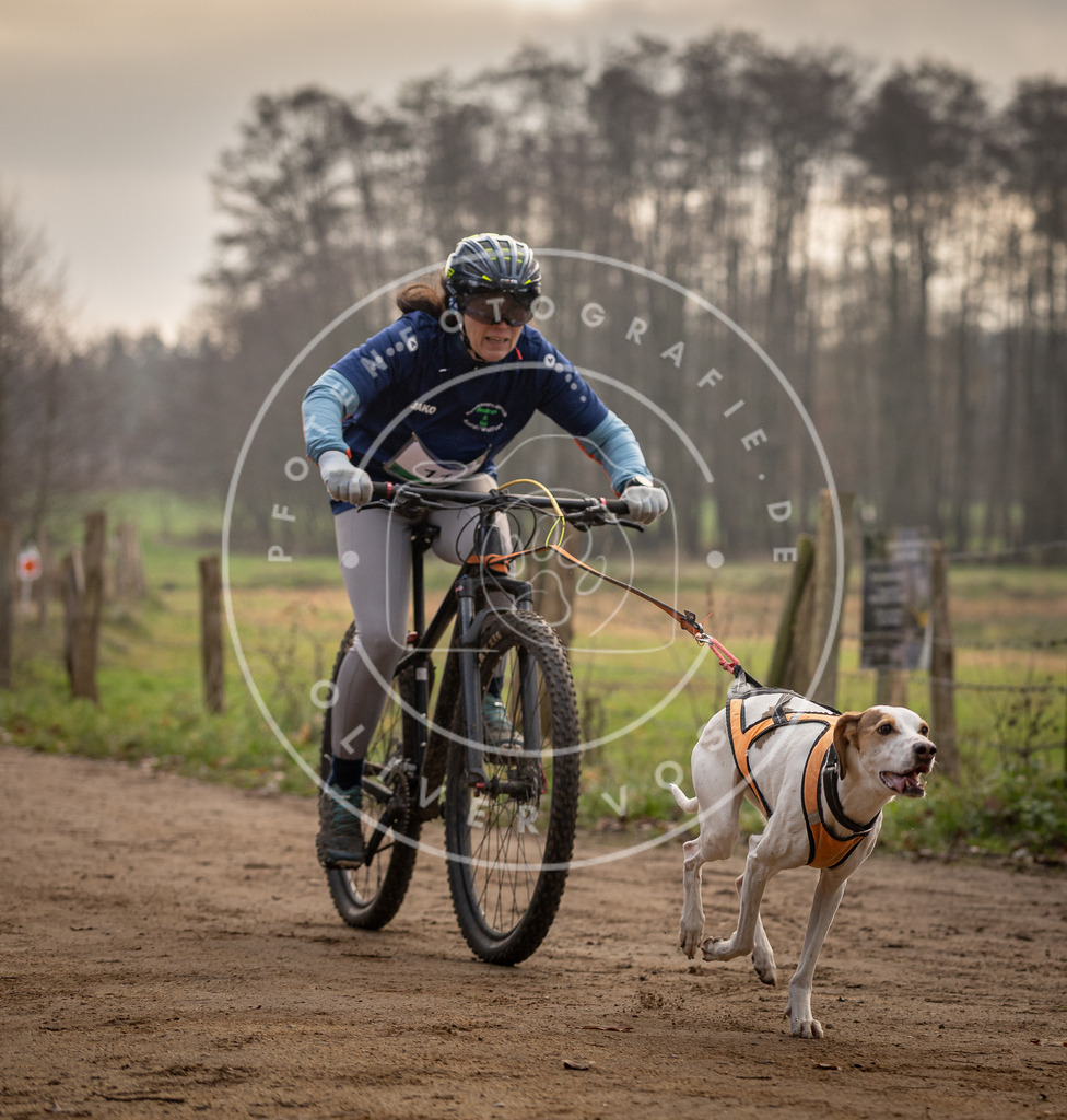 Pfotenfotografie_DV3A1768 | Hundefotografie, Tierfotograf, Pfotenfotografie, Fotoshooting Hund, Hunde Portrait, Hundesport, Hundeportraits, Heideshooting, Hunde, Sportfotograf, Hundefotograf, Turnierhundsport, THS,  - Realisiert mit Pictrs.com