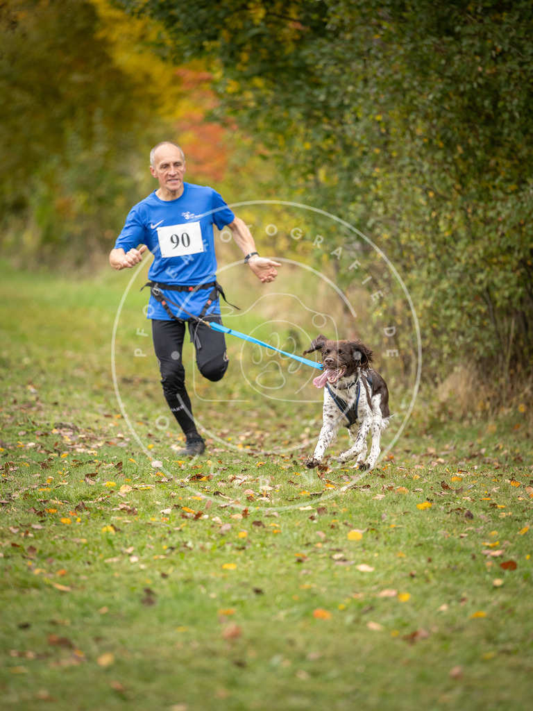 Pfotenfotografie_DV3A3246 | Hundefotografie, Tierfotograf, Pfotenfotografie, Fotoshooting Hund, Hunde Portrait, Hundesport, Hundeportraits, Heideshooting, Hunde, Sportfotograf, Hundefotograf, Turnierhundsport, THS,  - Realisiert mit Pictrs.com