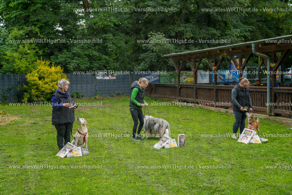 @allesWIRTHgut_Tierfotografie - www.allesWIRTHgut.de - 7R503936 | Professionelle Tierfotografie in Mönchengladbach von Daniel Wirth (allesWIRTHgut). Liebevolle & natürliche Bilder von Hunden & Katzen für unvergessliche Erinnerungen.