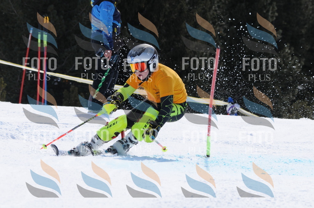 C9391 | holidayphoto