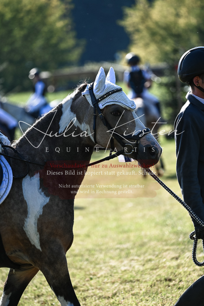DSC_0543 | Pferde- und Turnierfotografie in Westsachsen. Pferdeportraits, Auftragszeichnungen und intuitive Kunst.