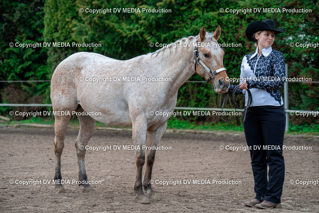 BA300071 | dv-media-shop - Realisiert mit Pictrs.com