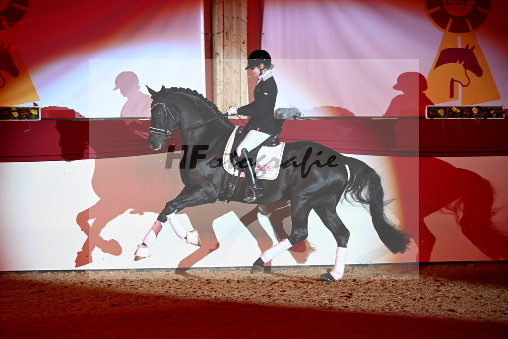 DSP Dream Royal_Arturi_2255186 | hf-fotografie - Realizzato con Pictrs.com