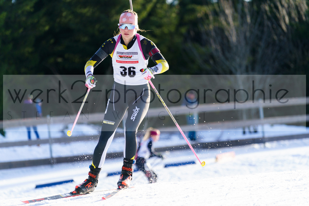 DP Oberwiesenthal | Alpencup/DP Deutschlandpokal in Oberwiesenthal am 15.-17.12.2023