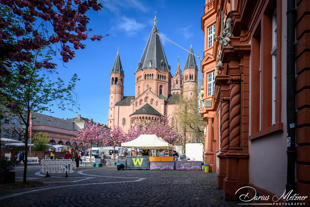 Das Marktfrühstück in Mainz | Das Marktfrühstück in Mainz auf dem Liebfrauenplatz
