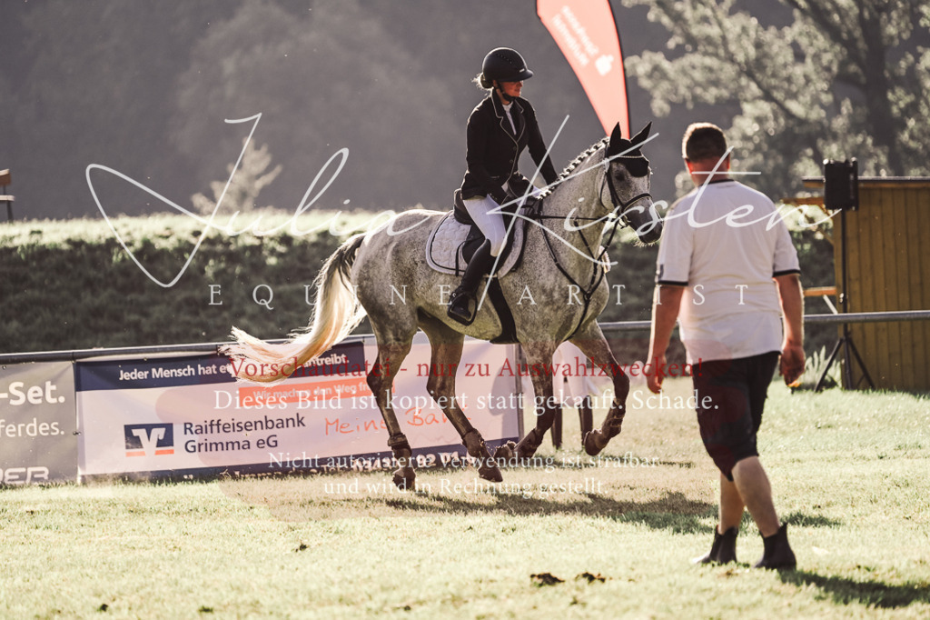 DSC_4630 | Pferde- und Turnierfotografie in Westsachsen. Pferdeportraits, Auftragszeichnungen und intuitive Kunst.