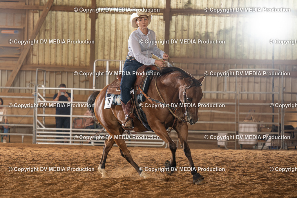 NID01695 | dv-media-shop - Realisiert mit Pictrs.com