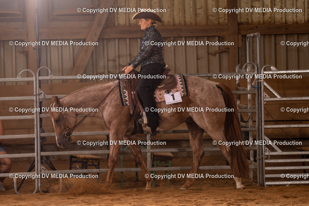 NID00273 | dv-media-shop - Realisiert mit Pictrs.com