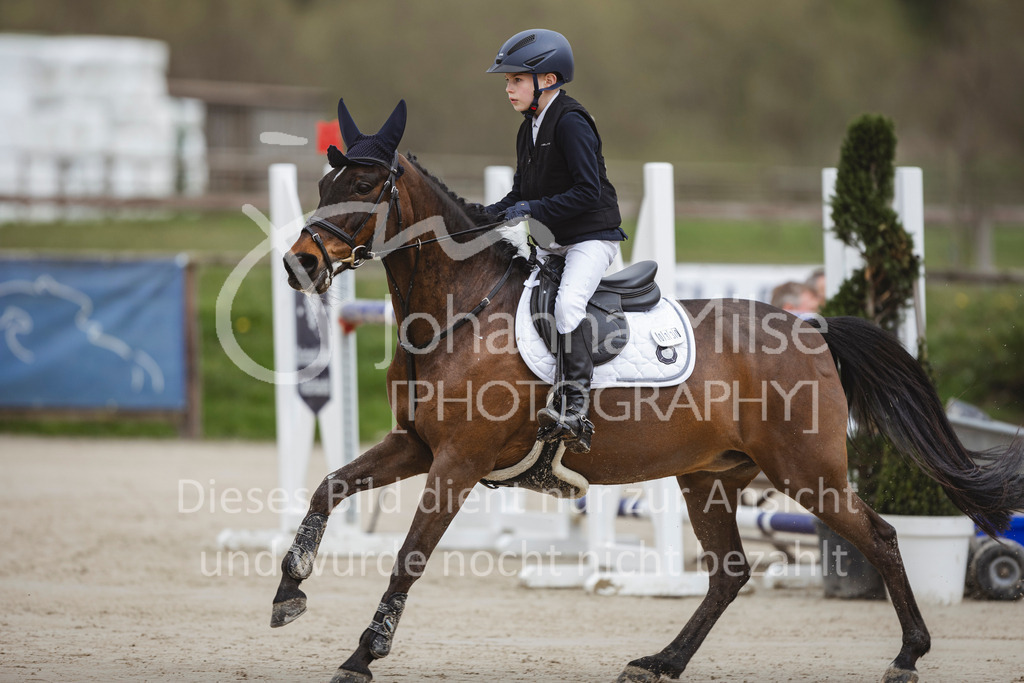 240330_Fruehlingsfest_Stil-A2-1-618 | Deine schönsten Turniermomente als professionelle Fotos! Entdecke hochwertige Pferdesport-Fotografie im Online-Shop. Jetzt Fotos finden & bestellen!