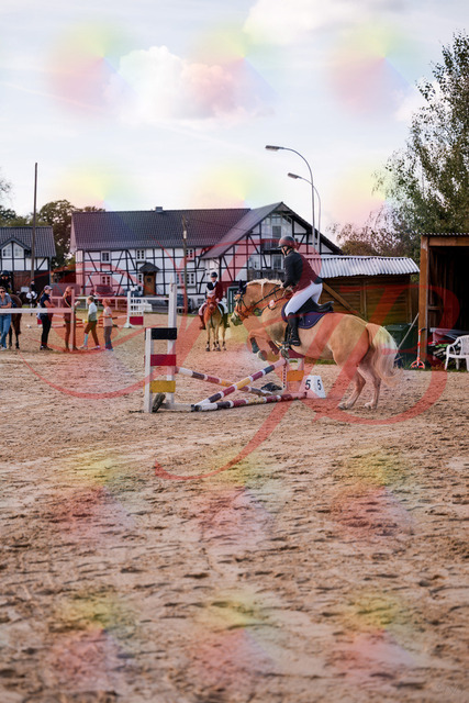 2026_10_03_Siefer-Hof_145324_Z81_33225399 | Professionelle Reitsport-, Turnier- und Eventfotografie von Robert Broda. Galerien mit ausgewählten und bearbeiteten Bildern direkt online ansehen und bestellen.