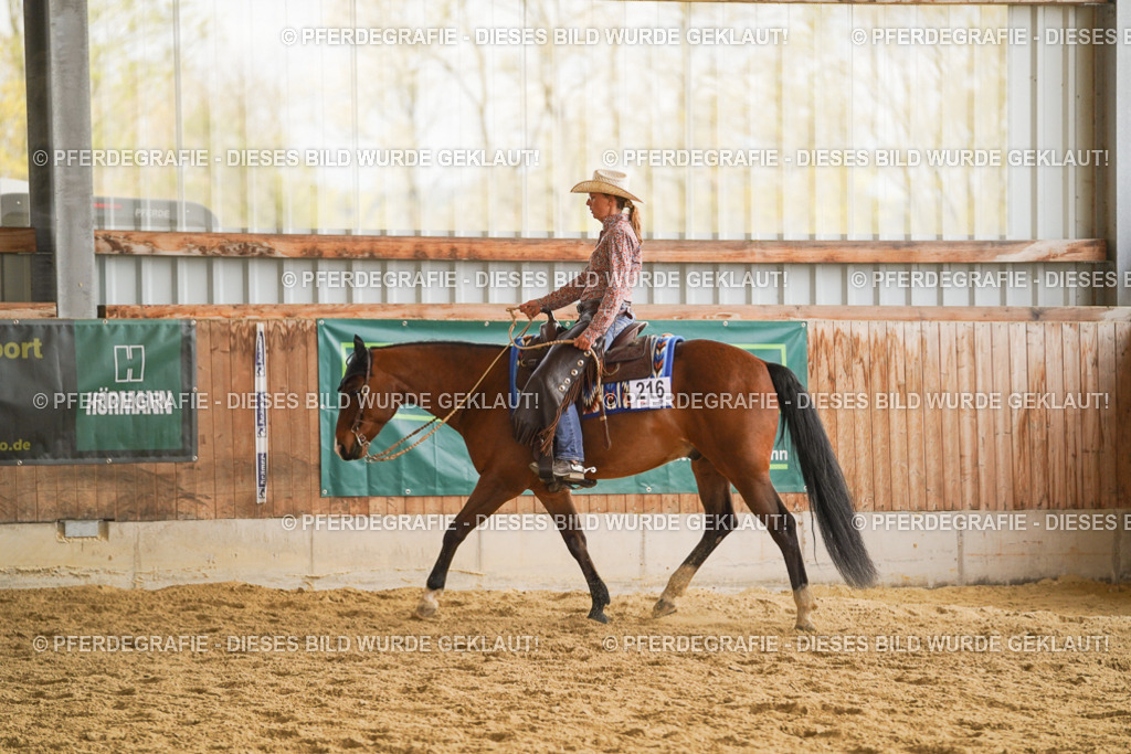 DSC08145 | Pferdegrafie