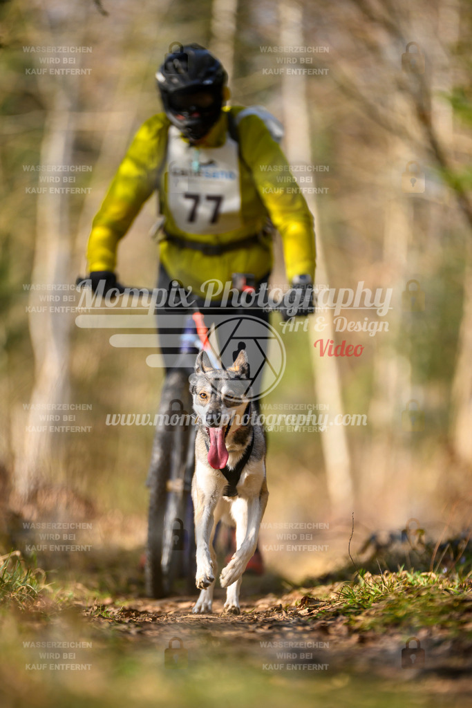 MompixPhotography_6ReiatRennen2026_SO_Scooter-40 | PayLife