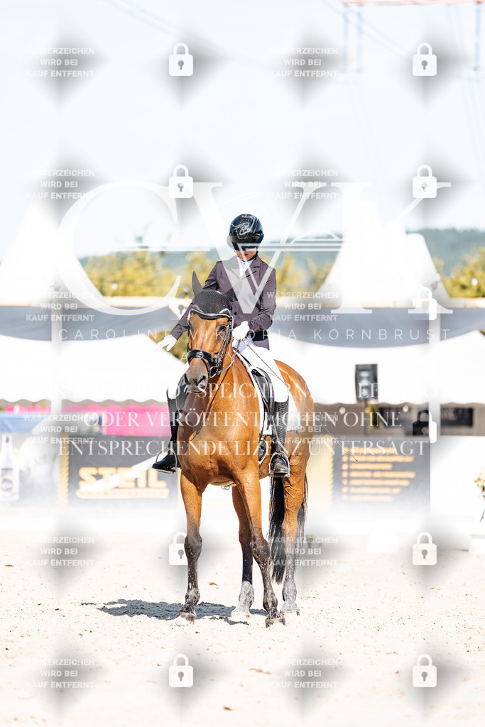 CK908065 | Turnierfotografie Pferdefotografie Trier Rheinland-Pfalz Pferdesport Reitsport Tierfotografie Sportfotografie Pferdevideo Pferdevideografie Equestrianvideography equestrianphotography  - Realisiert mit Pictrs.com