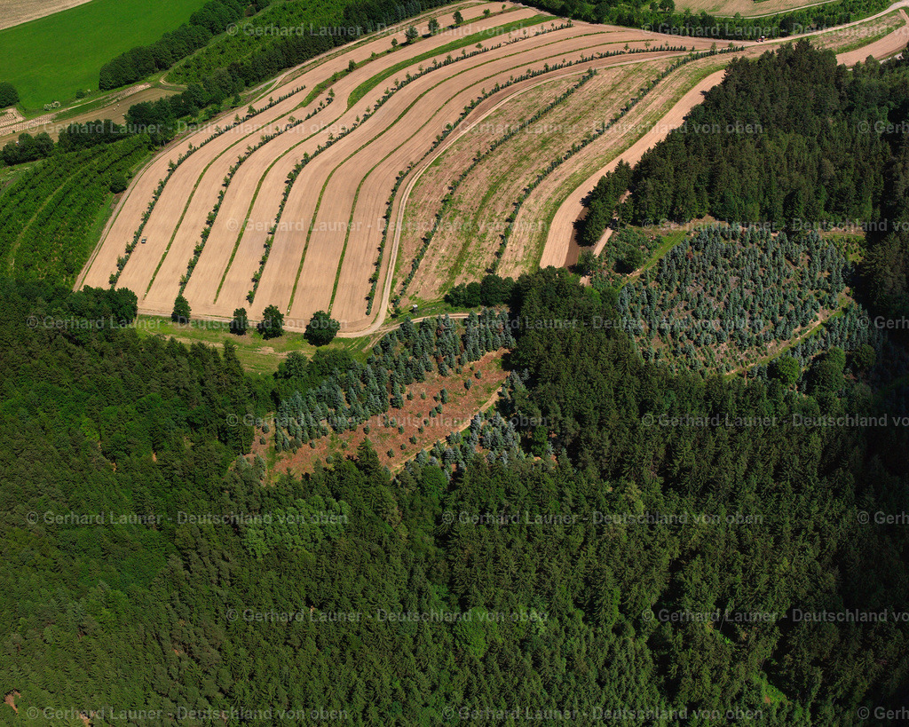 2519459 | Baumschule bei Streitberg